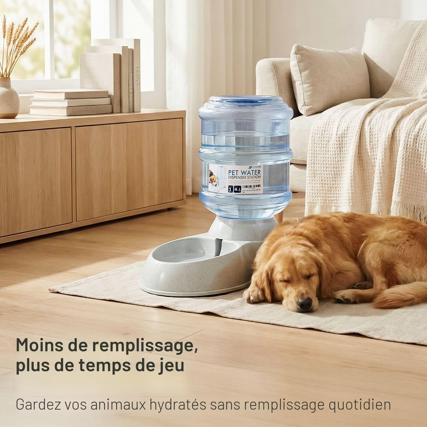 Flexzion Gravity Distributeur d'eau pour Chiens et Chats (10 litres) Abreuvoir Automatique pour Chiens et Chats de Petite et Grande Race