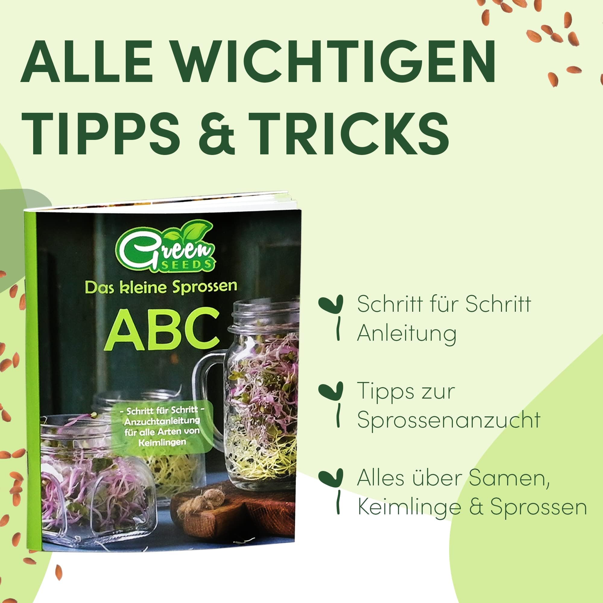 Green SEEDS Bocal à germes 3 Set de 1000ml avec Couvercle à Grille en Acier Inoxydable de Haute qualité, Support, Bol en céramique + ABC des germes Gratuit [E-Book]