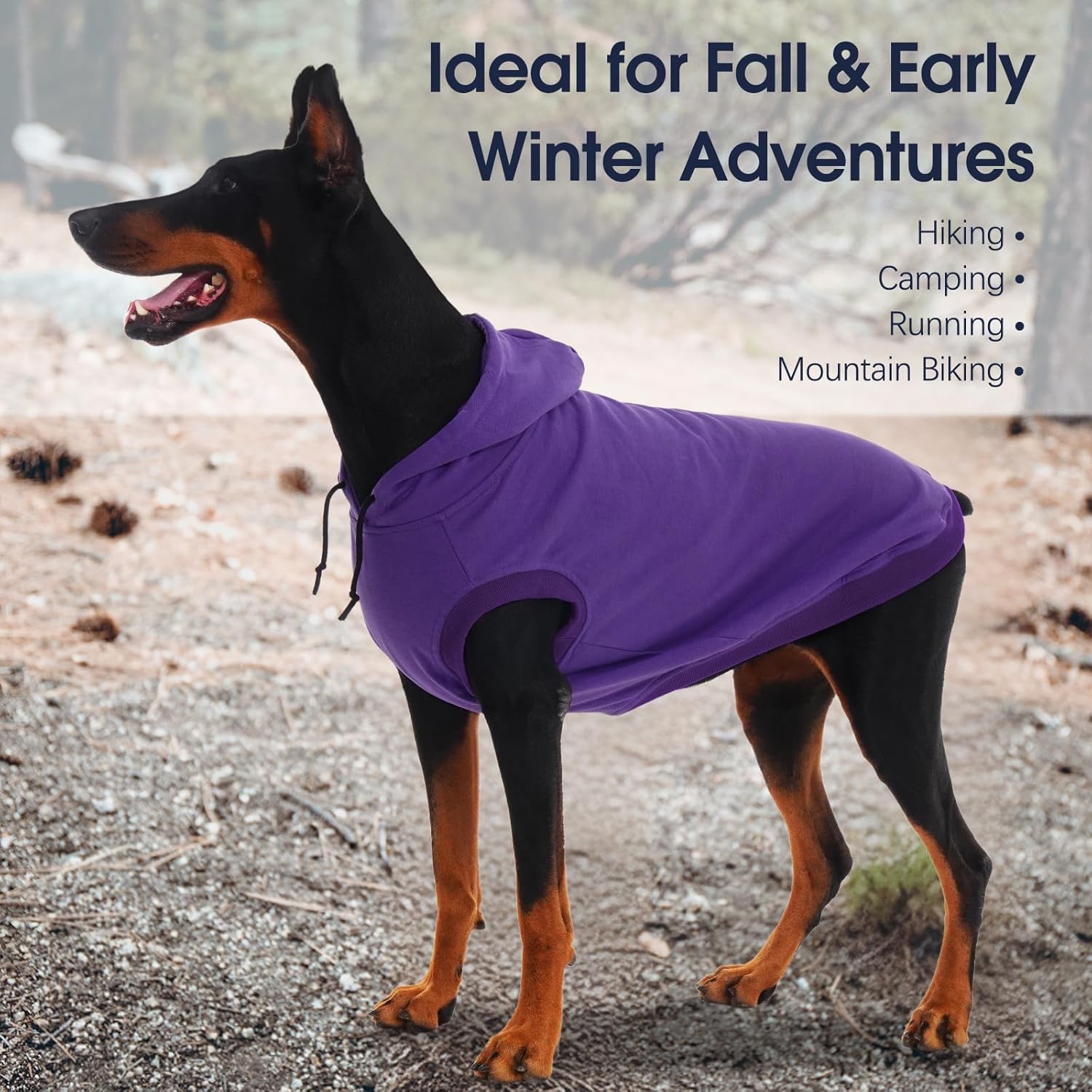 IECOii Large Dog Hoodie, XL Dog Sweater for Large Dogs Girl Hooded Sweatshirt,Spring Fall Dogs Pullover for Beagle, Border Collie, Indoor Cozy & Outdoor Play, Purple, XLarge (No Fleece Lined)