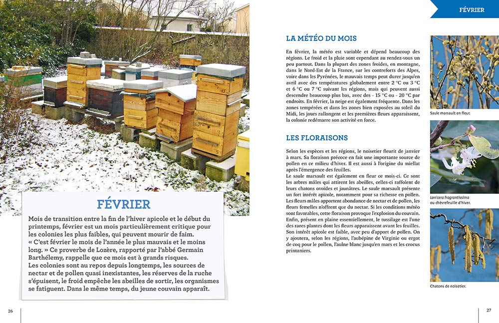 L'apiculture mois par mois Nouvelle édition