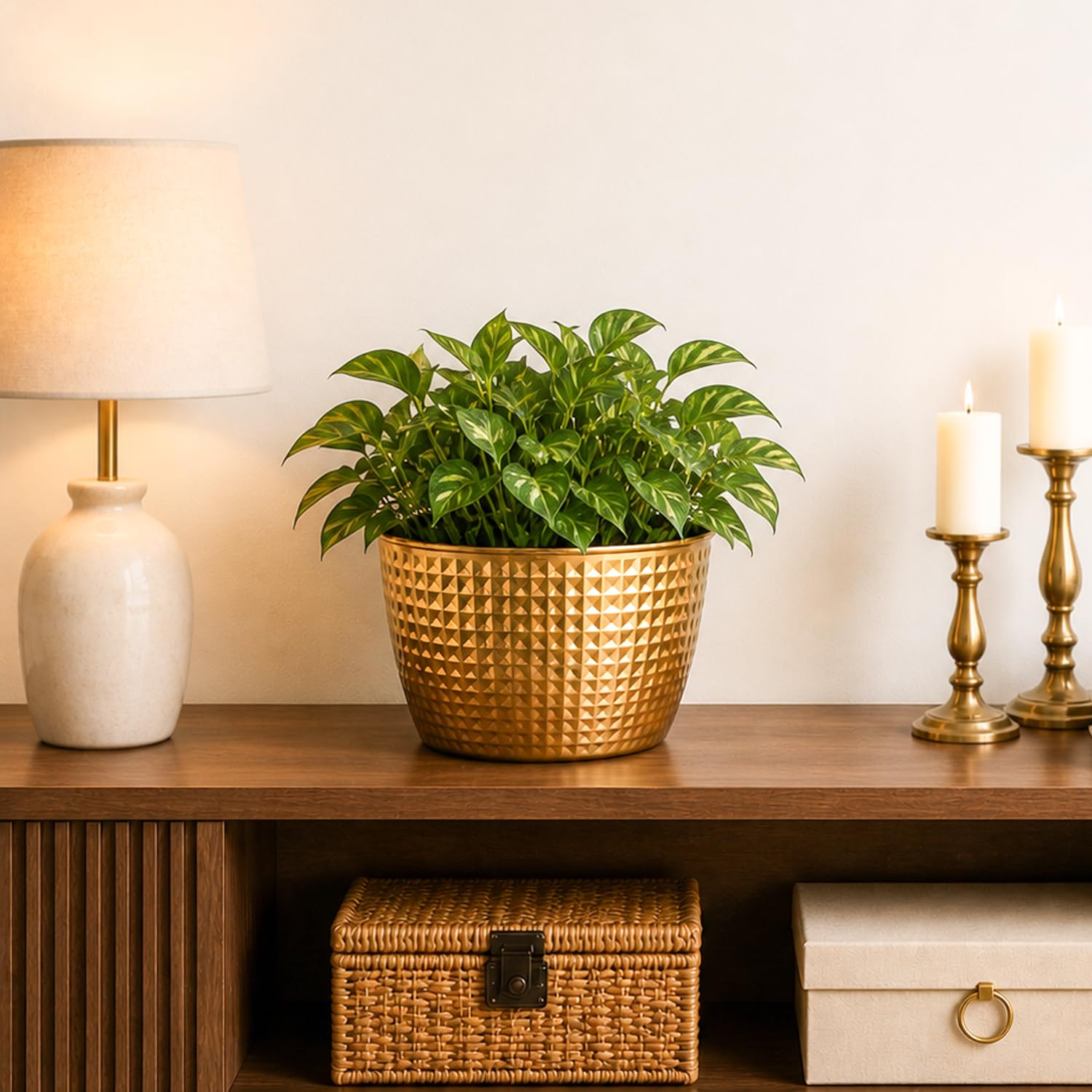 Amazon.in: Market 99: Planter