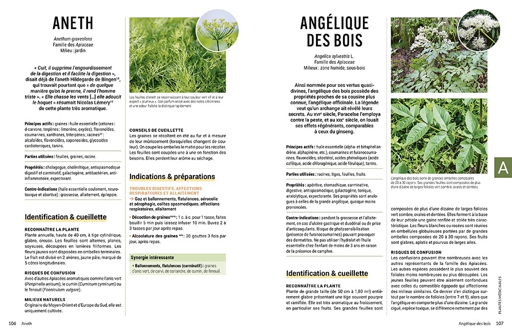 L'encyclopédie de l'herboristerie - 160 plantes médicinales, 700 remèdes à faire soi-même, 25 préparations de base · Identifier, cueillir, préparer, ... et soulager tous les maux du quotidien