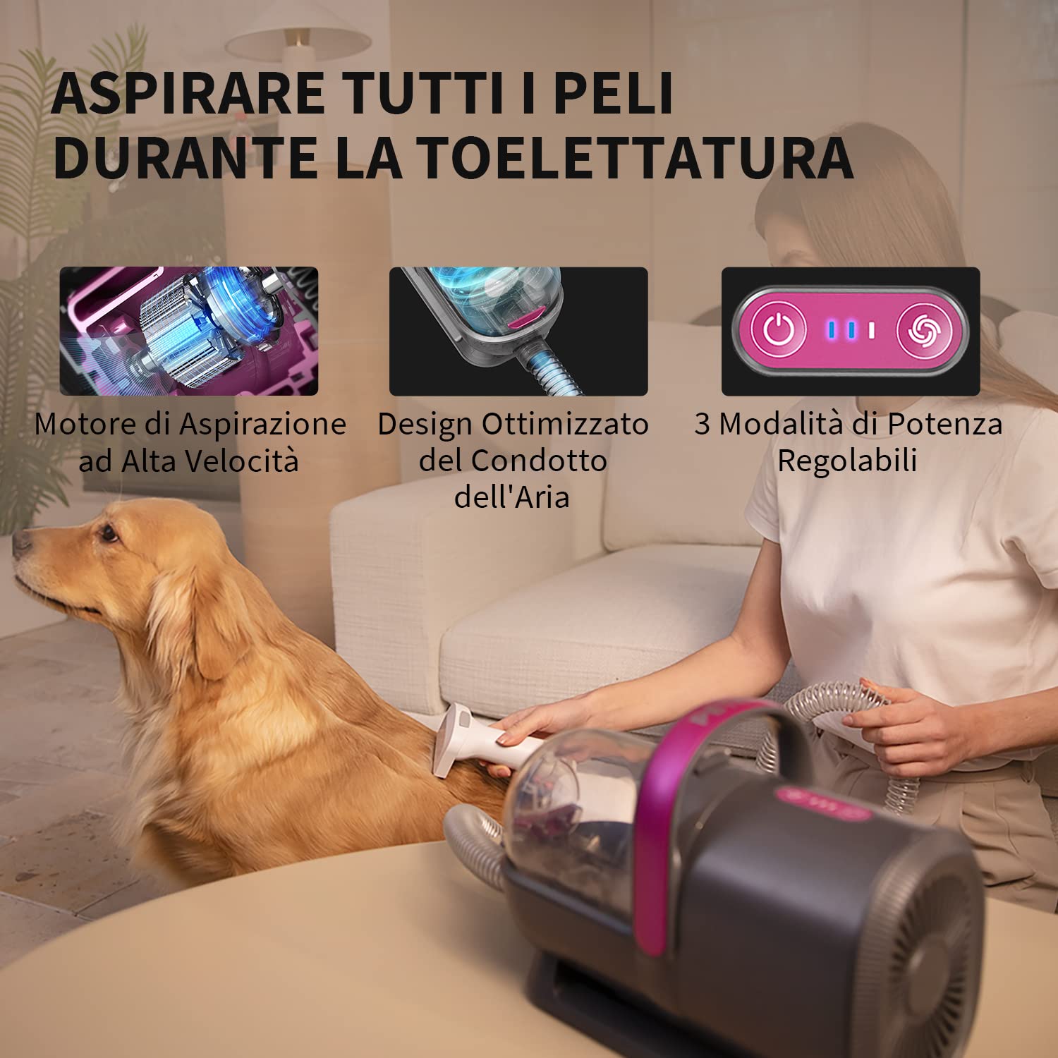 Strumento per la toelettatura degli animali domestici, attacco
