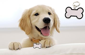 Sage Square Bone Shape Collar Tag Cum Pendant for Dog / Puppy / Kitten / Cat (Black)