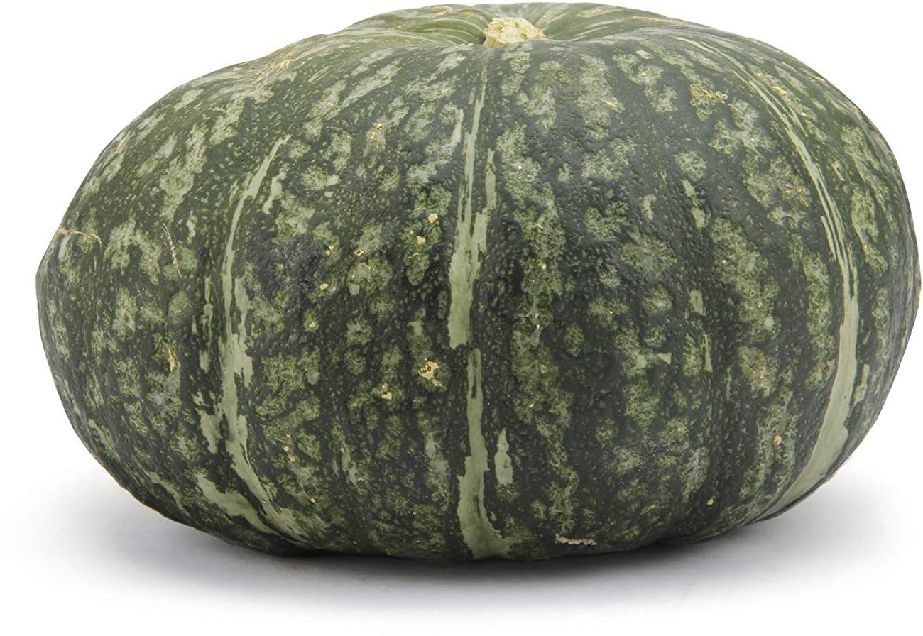 Willvine Pumpkin Kabocha Conventional-NDIR-7T-picture-31
