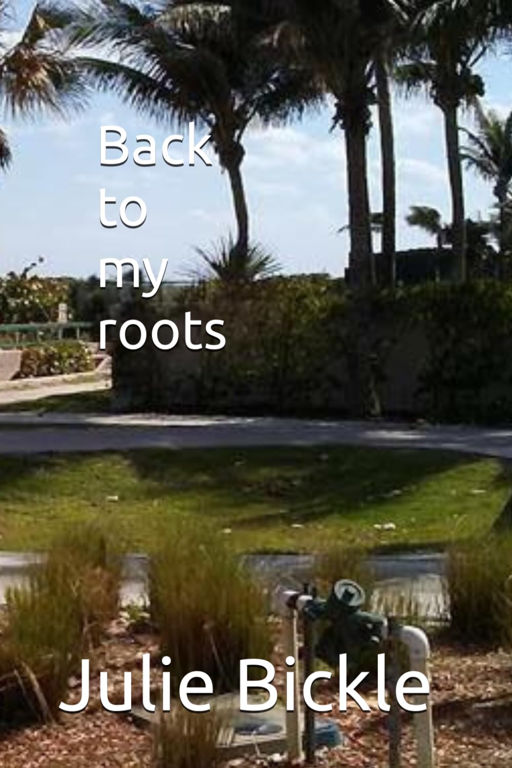 BACK TO MY ROOTS
