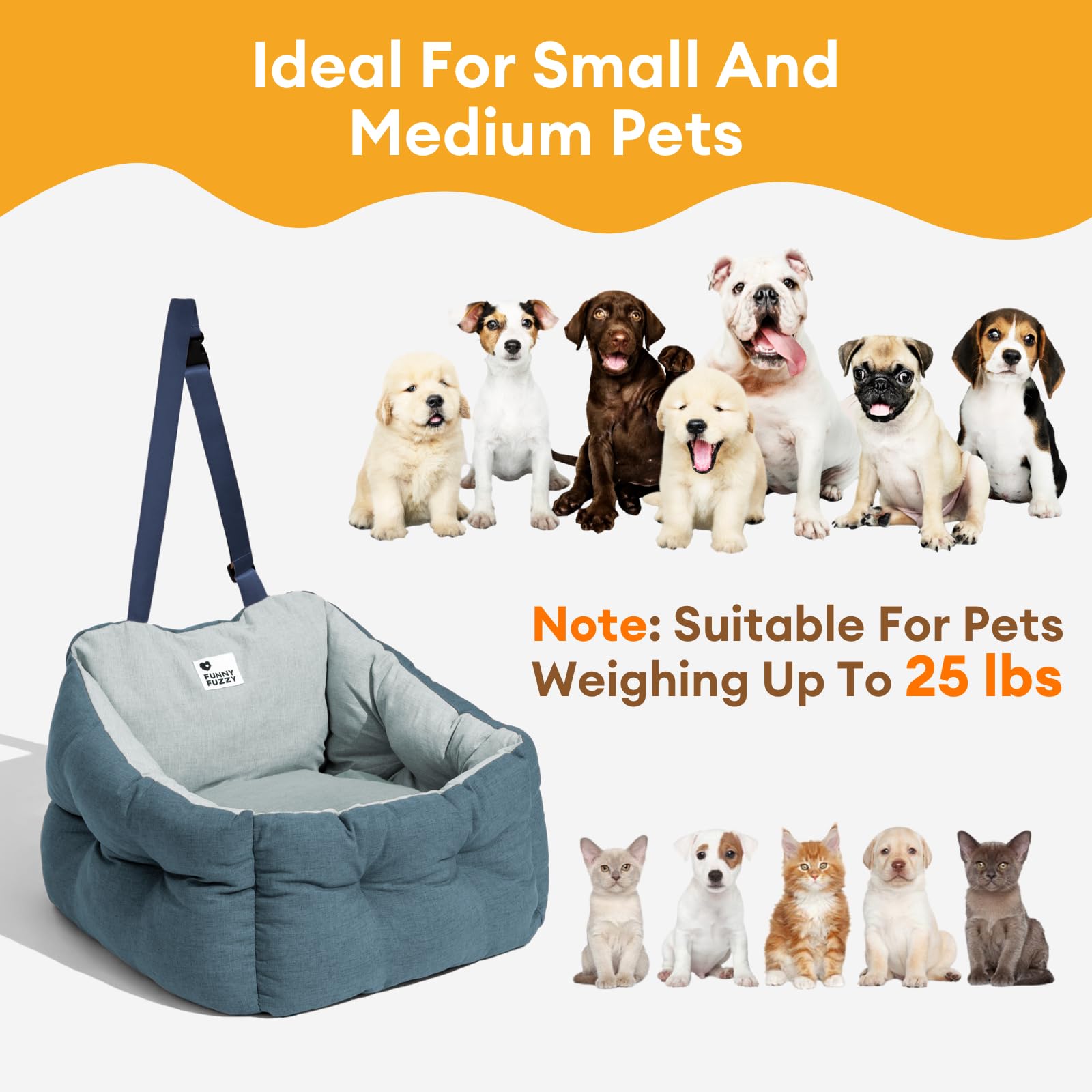 FUNNY FUZZY Dog Car Booster Seat for Small/Medium Dogs Up to 39lbs – Waterproof Fabric, Non-Slip Base, Safety Leash, Fully Detachable & Machine Washable Cover (Blue) - image 5