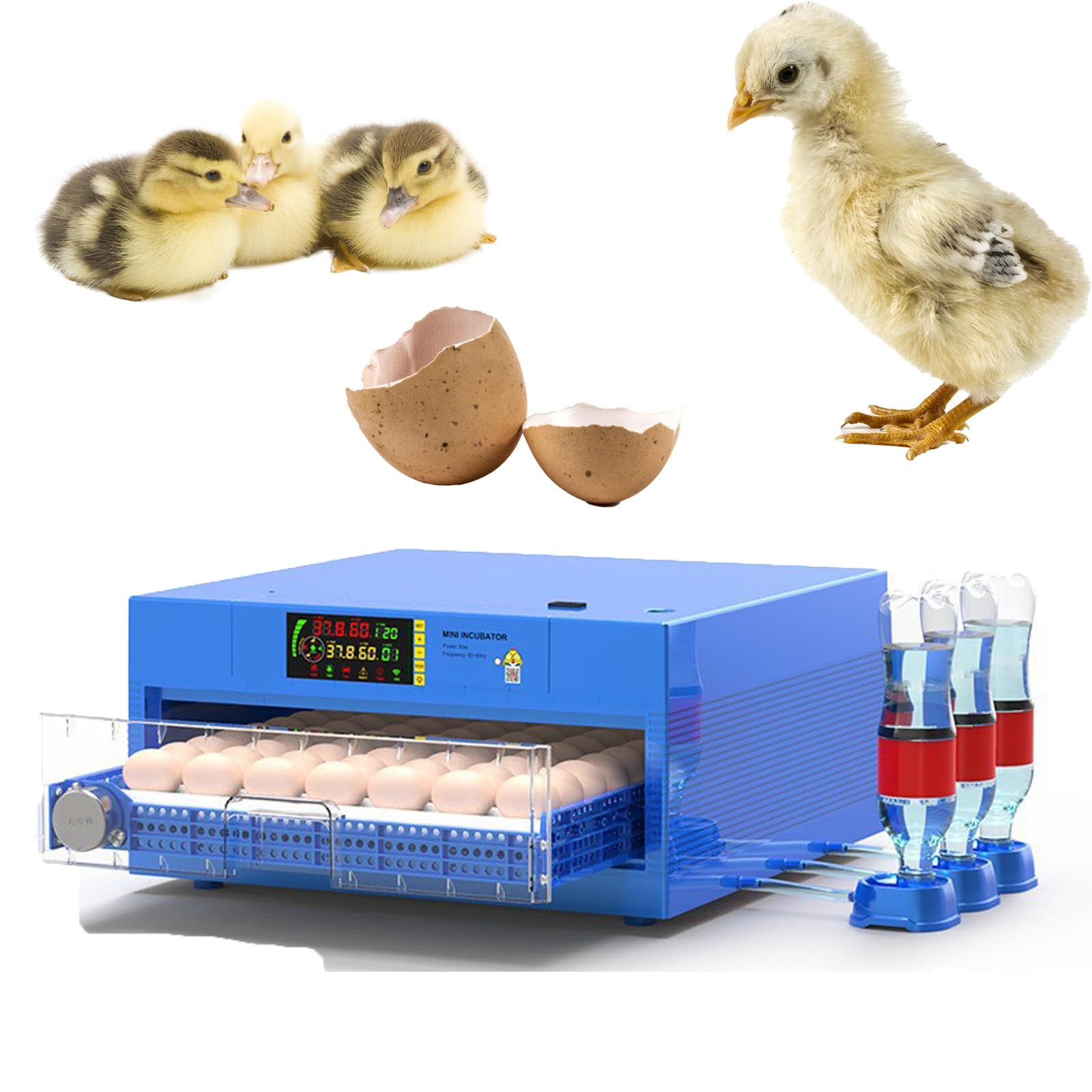 Inkubatory Do Wylęgu Jaj,Inkubatory Do Jaj Z Automatycznym Obracaniem Jaj, Regulacją Temperatury, Kontrolą Wilgotności, Inkubatory Do Wylęgu Jaj Kurcząt, Kaczek, Gęsi I Przepiórek,56eggs
