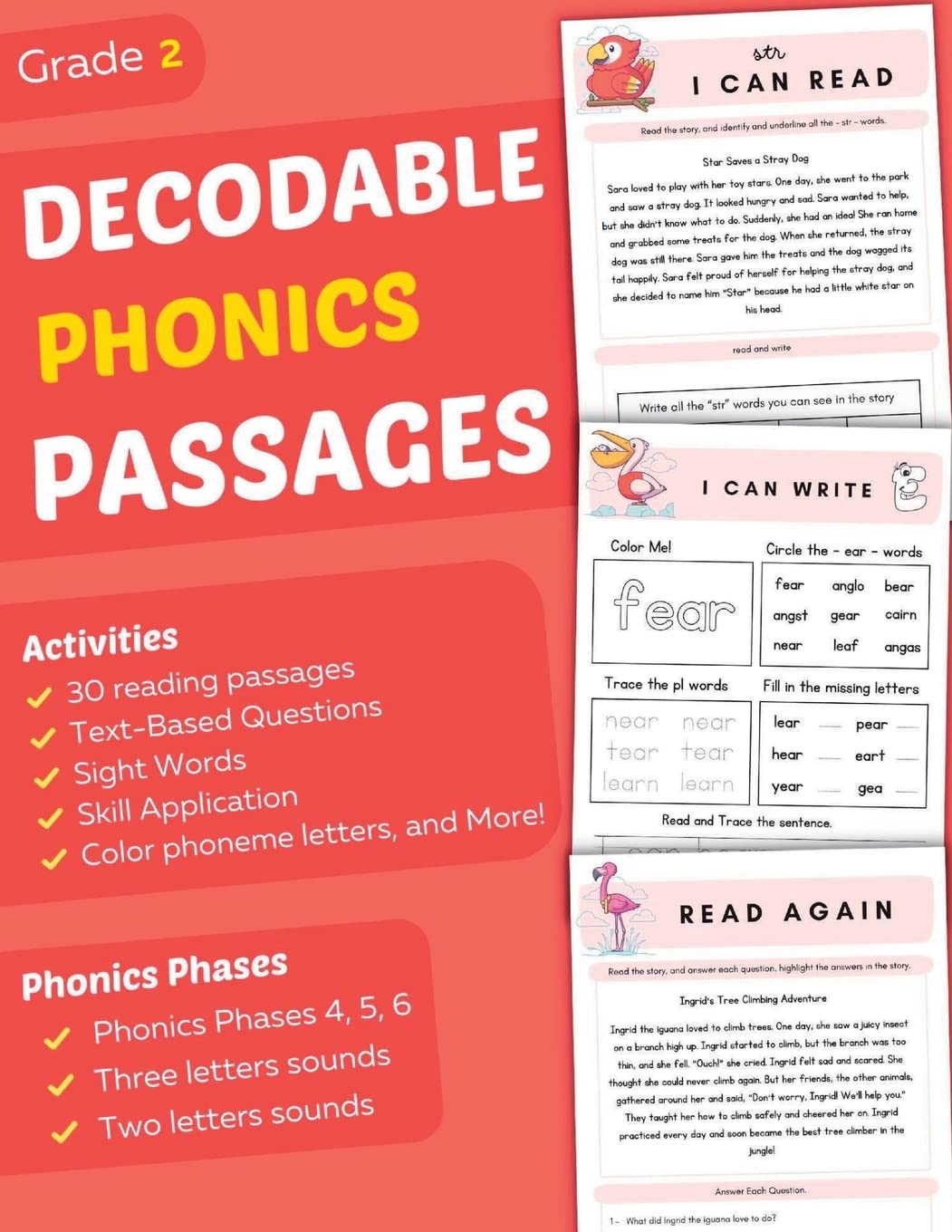 Decodable Phonics Passages Grade 2: Strengthen Reading and Comprehension Skills for Kids, Fun and Engaging Decodable Texts and More with Phonics and ... 5, 6 (Comprehension Passages Book Ages 7-8 )