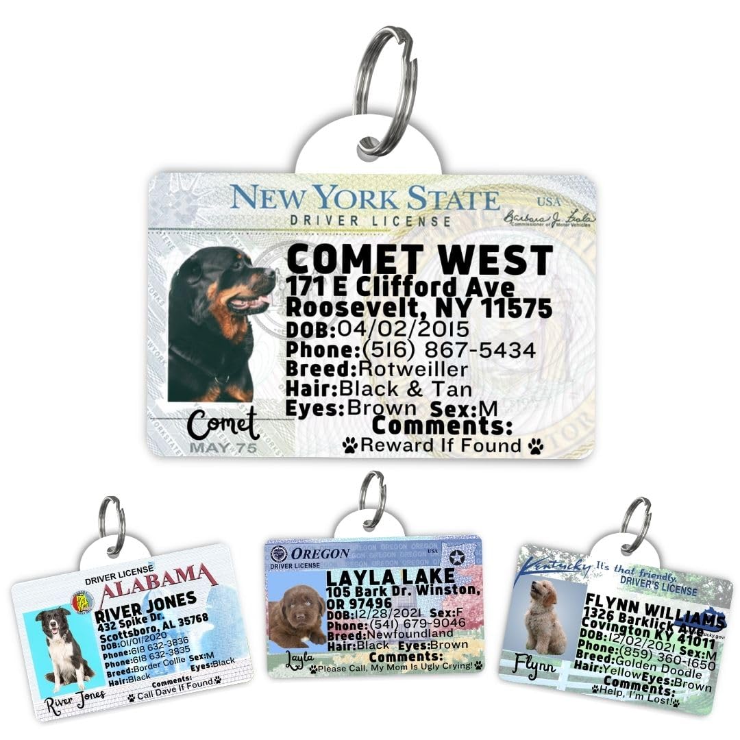 Amazon.com: PawFurEver Personalized Dog Driver License ID Tag for