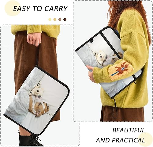 Miniatura 4 de susiyo Lindo perro durmiendo en la cama carpeta de archivos expandible 13 bolsillos organizador expandible carpeta de archivos para tamaño carta A4