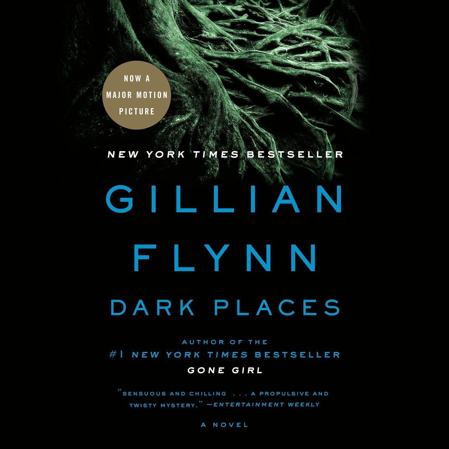 Gillian Flynn Dark Places