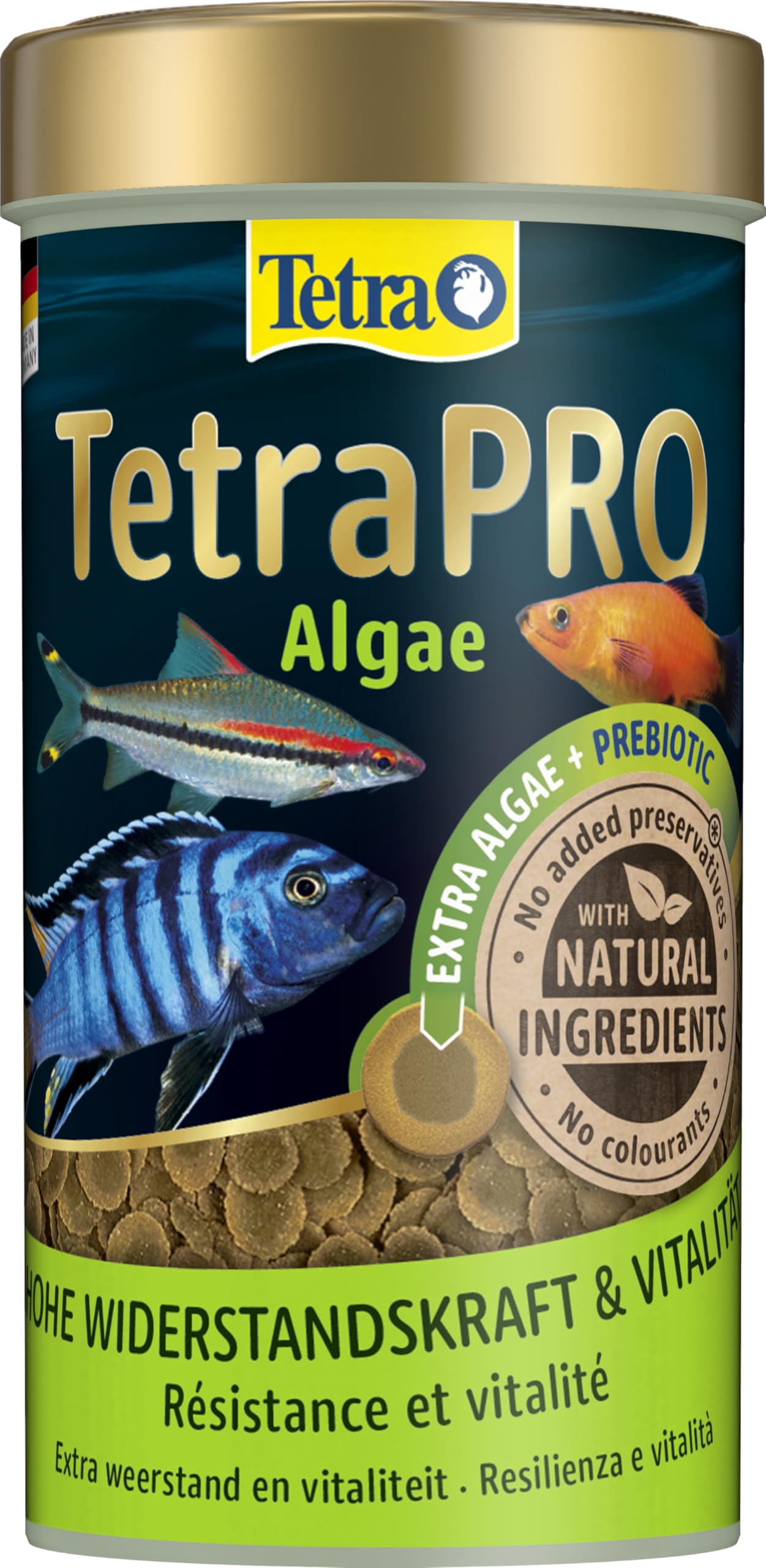 Tetra Pro Algae Multi-Crisps - Mangime per pesci premium con concentrato di alghe per una maggiore resistenza, lattina da 250 ml