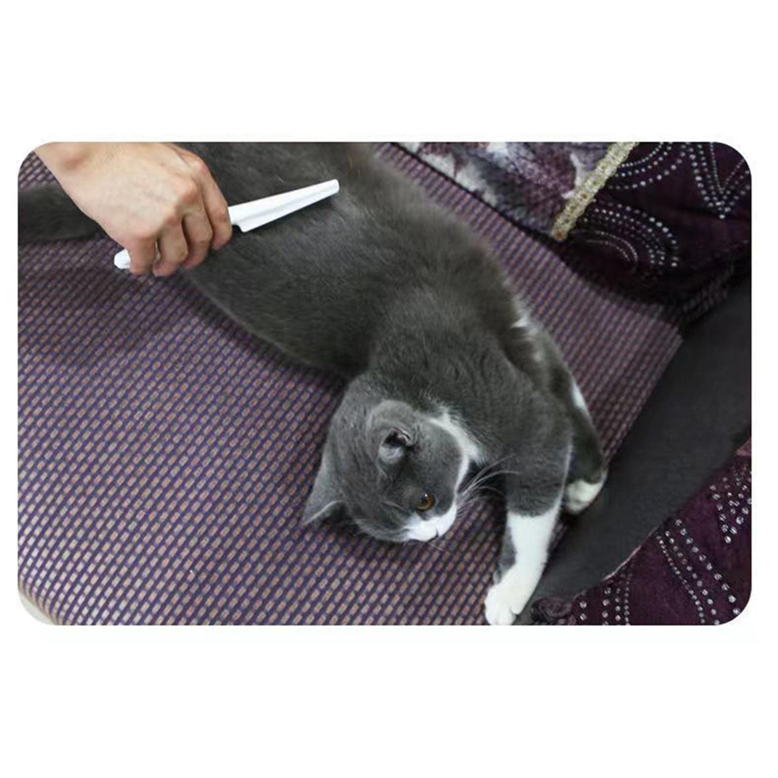 Peigne anti-puces pour chiens avec poignée antidérapante pour chien avec manche amélioré, peigne à puces professionnel, peigne à dents longues et courtes pour chiens Jingan