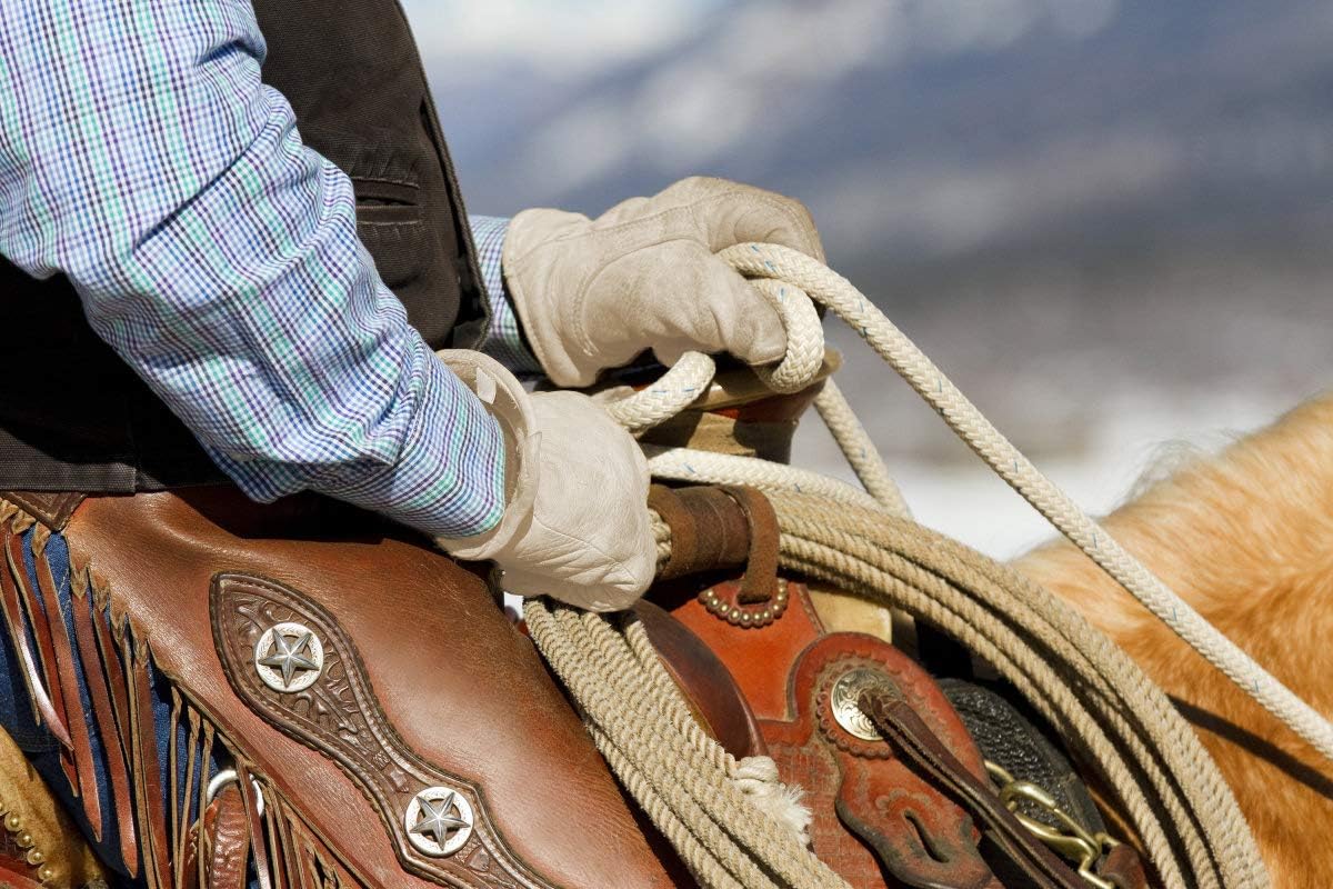 SKYDEER Super Soft and Warm Winter Gloves with Deersplit Leather Suede and 3M Thinsulate Insulation for Cold Weather SD5176T - Image 5