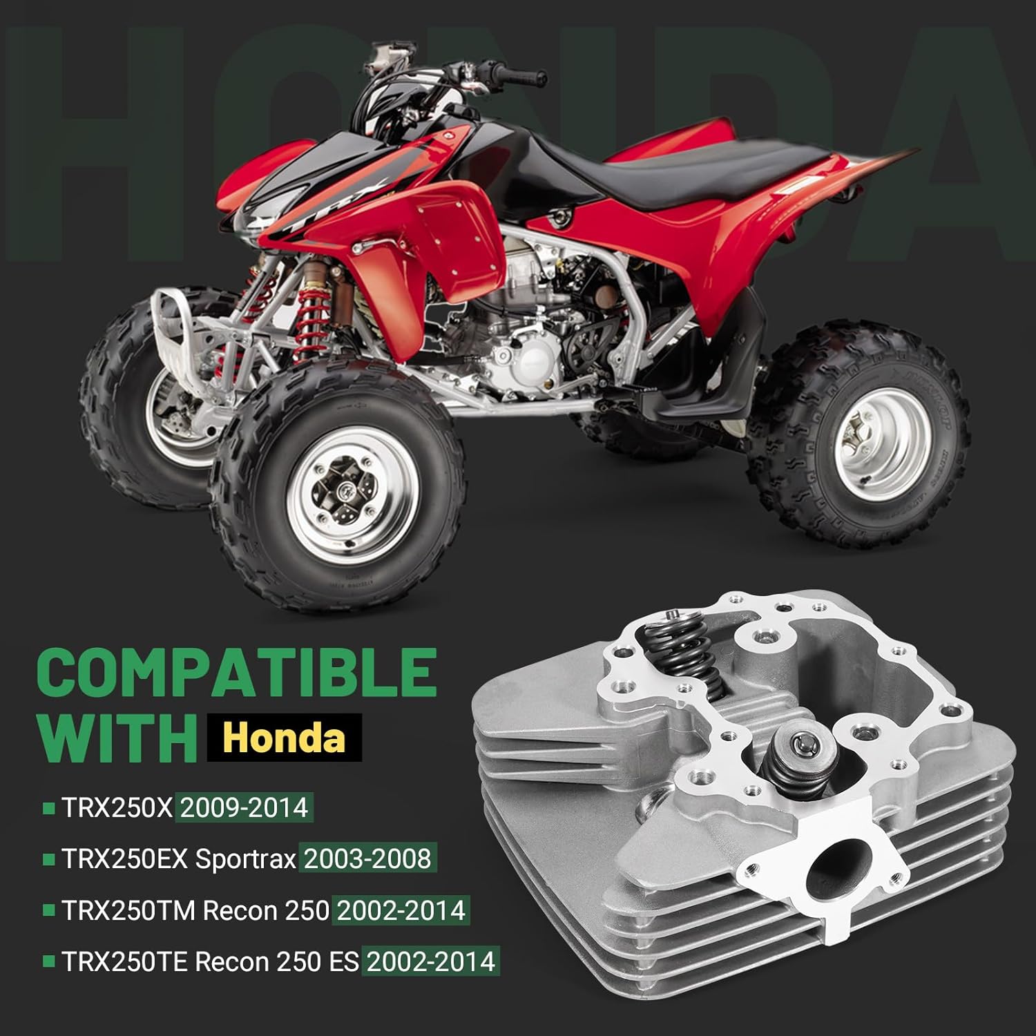 12200-HM8-A40 Engine Cylinder Head & Valve Springs Compatible with Honda Recon 250 TRX250 TE TM 2002-2014 TRX250EX 2003-2008 TRX250X 2009-2014, Replace 14711-HM8-A40 14721-HM8-A40