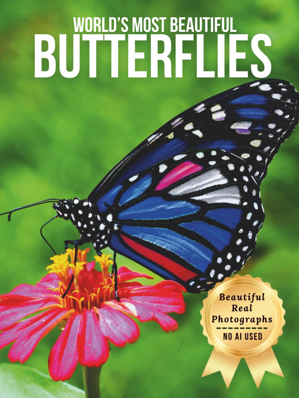 World’s Most Beautiful Butterflies – Wonders in Photos: A Coffee Table Book of Stunning Butterflies and Colorful Wings from Around the World (Large Format Photography Collection)      Hardcover – Large Print, January 2, 2026