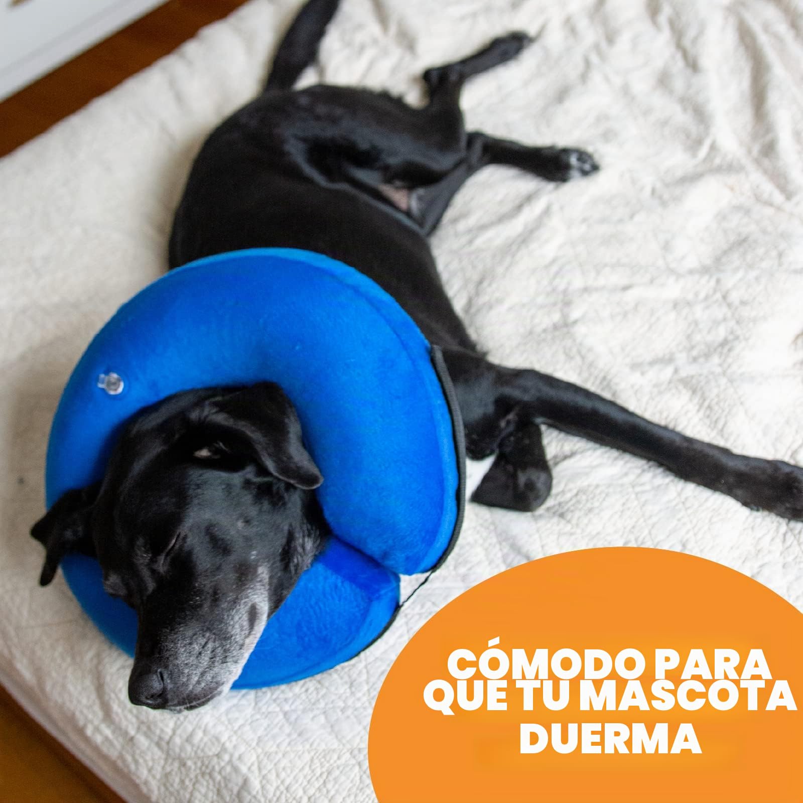 BENCMATE Collar Inflable Protector para Perros y Gatos, Collar de recuperación de Cono Suave para Perros no bloquea la visión