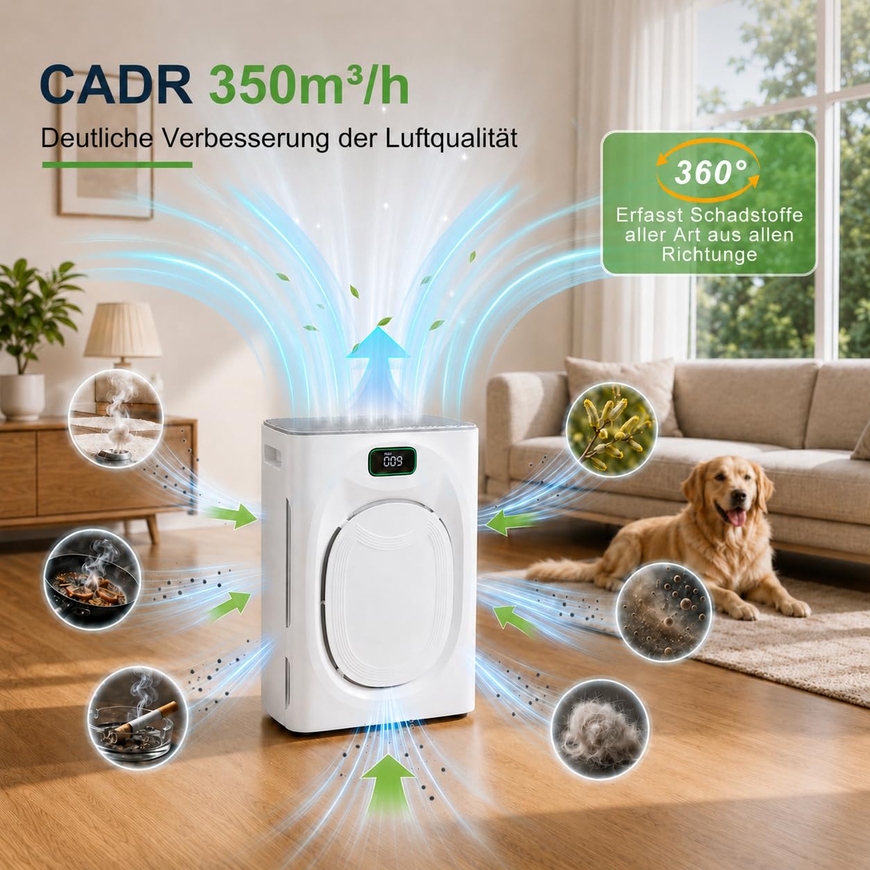 Purificateur d'Air Pour Animaux, CADR 350m³/h Minuterie Pour Allergies