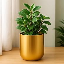 ecofynd 4.3 inches Round Metal Planter for Home Decor, Pack of 1 (Gold)