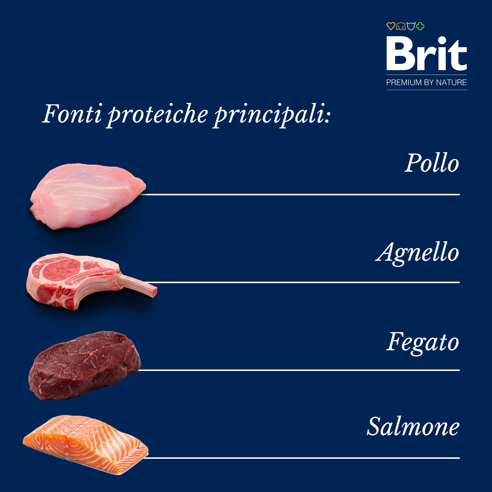 Brit Premium - Cibo Umido per Gatti Sterilizzati, Nultipack, 40 x 100 g