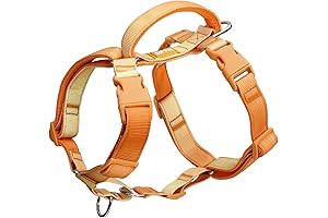 DF Freedom No Pull Martingale Dog Harness