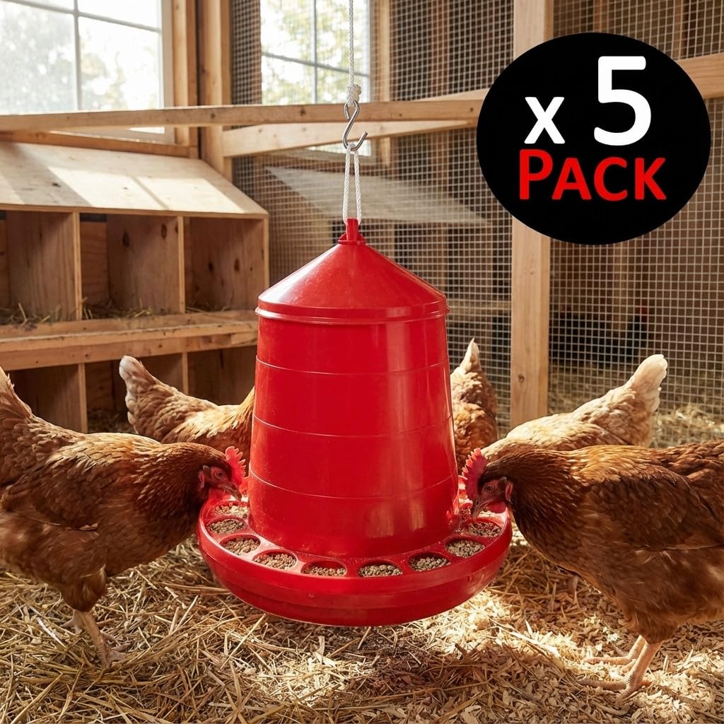Suinga Pack 5 Mangimi per Uccelli e Galline | Capacità 8 kg | 38x38x60 cm | Plastica Resistente | Colore Rosso