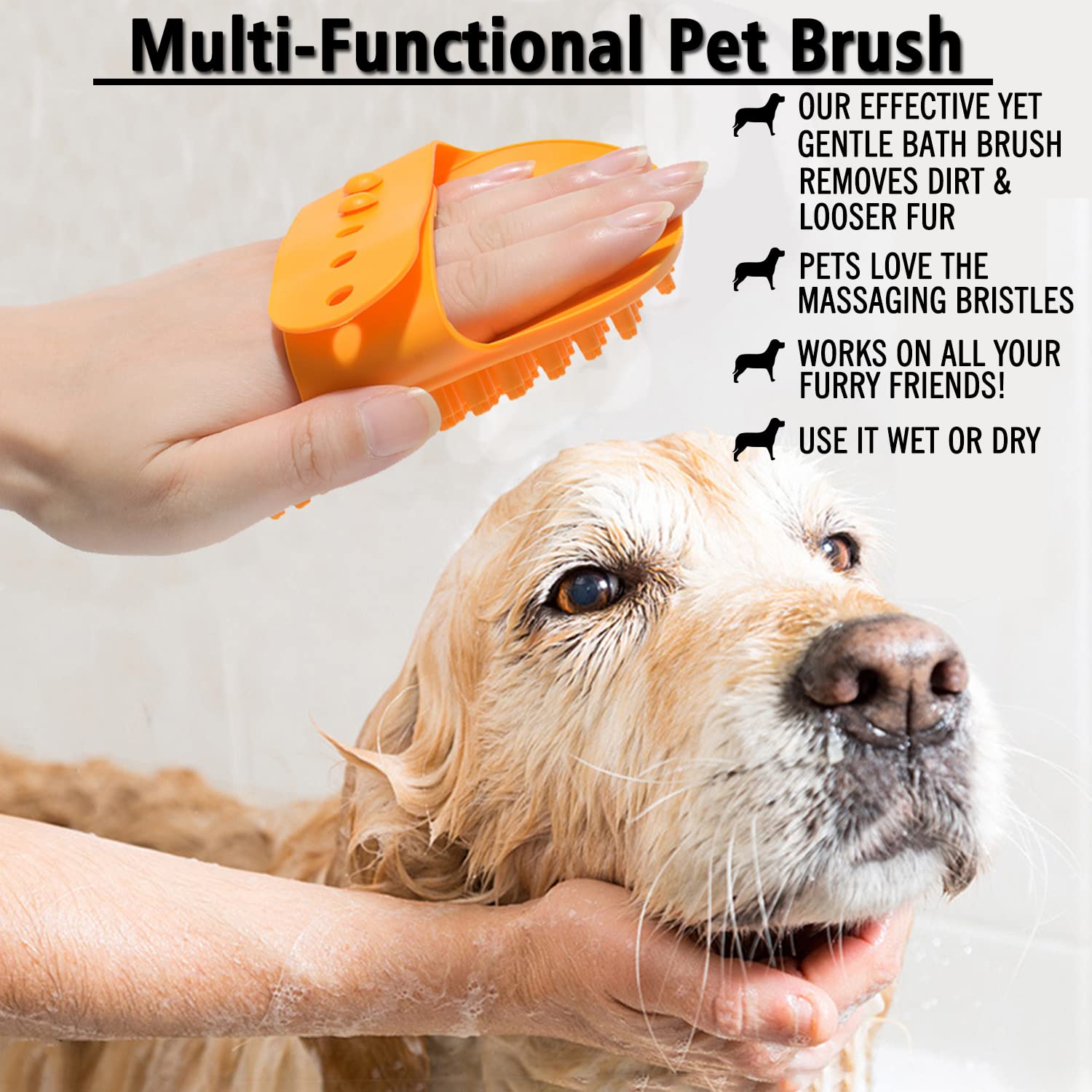 Should You Brush Your Dog Wet Or Dry