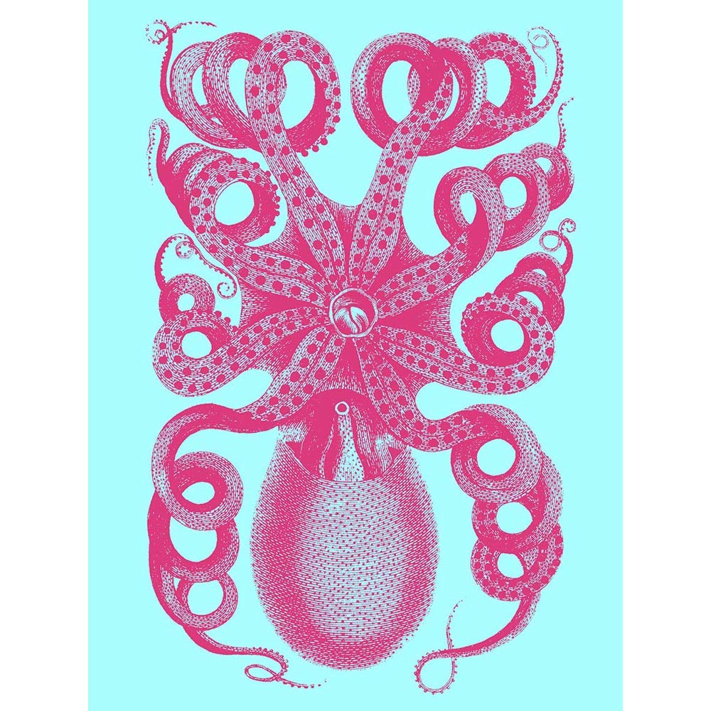 Wee Blue Coo Pink Octopus Blue Art Print Poster Wall Decor 12X16 Inch