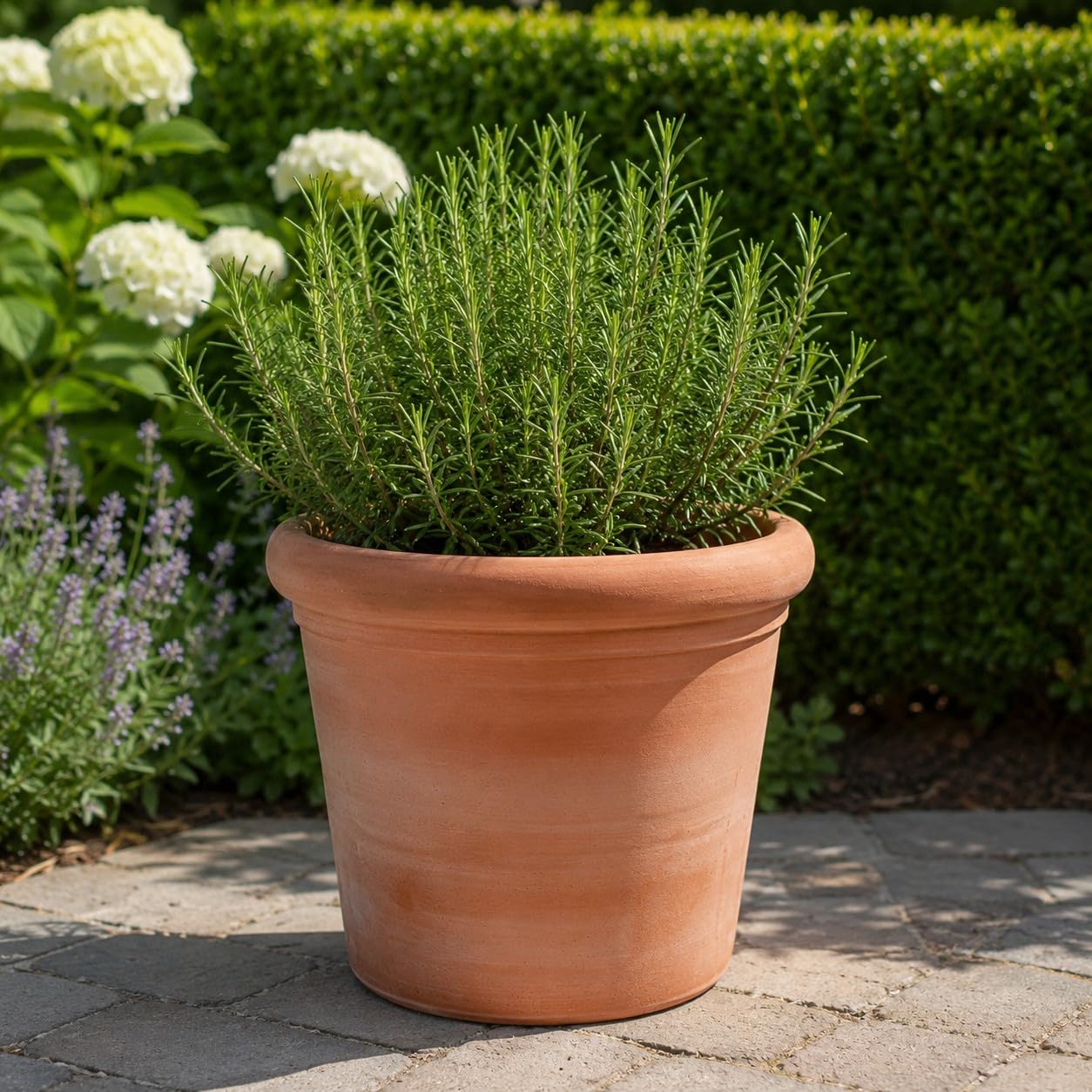 Palatina Werkstatt Pot de fleurs cylindrique en terre cuite 23 cm avec trou de drainage - Pot de fleurs méditerranéen en terre cuite