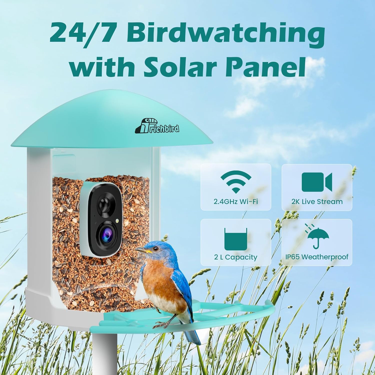 Hummingbird Feeder with Camera and Smart Bird Feeder with Built-in Lifetime Free AI Identify Bird Species & Solar Panel, Auto Video Capture & Instant Notifications, Ideal Gift fo Mother‘s Day
