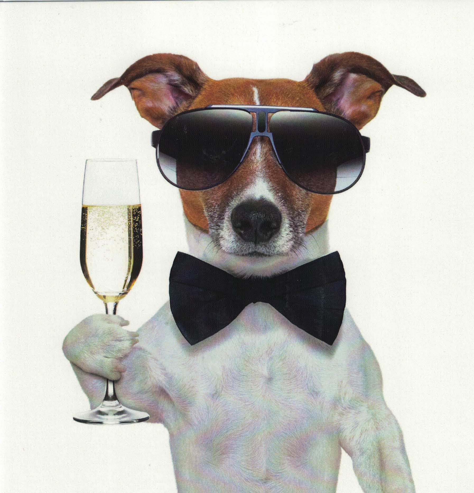 Twizler Biglietto Di Auguri Divertente Con Cane In Vasca Idromassaggio - Compleanno, Uomini, Donne, Amanti Dei Cani - Interno Vuoto 15,5 Cm