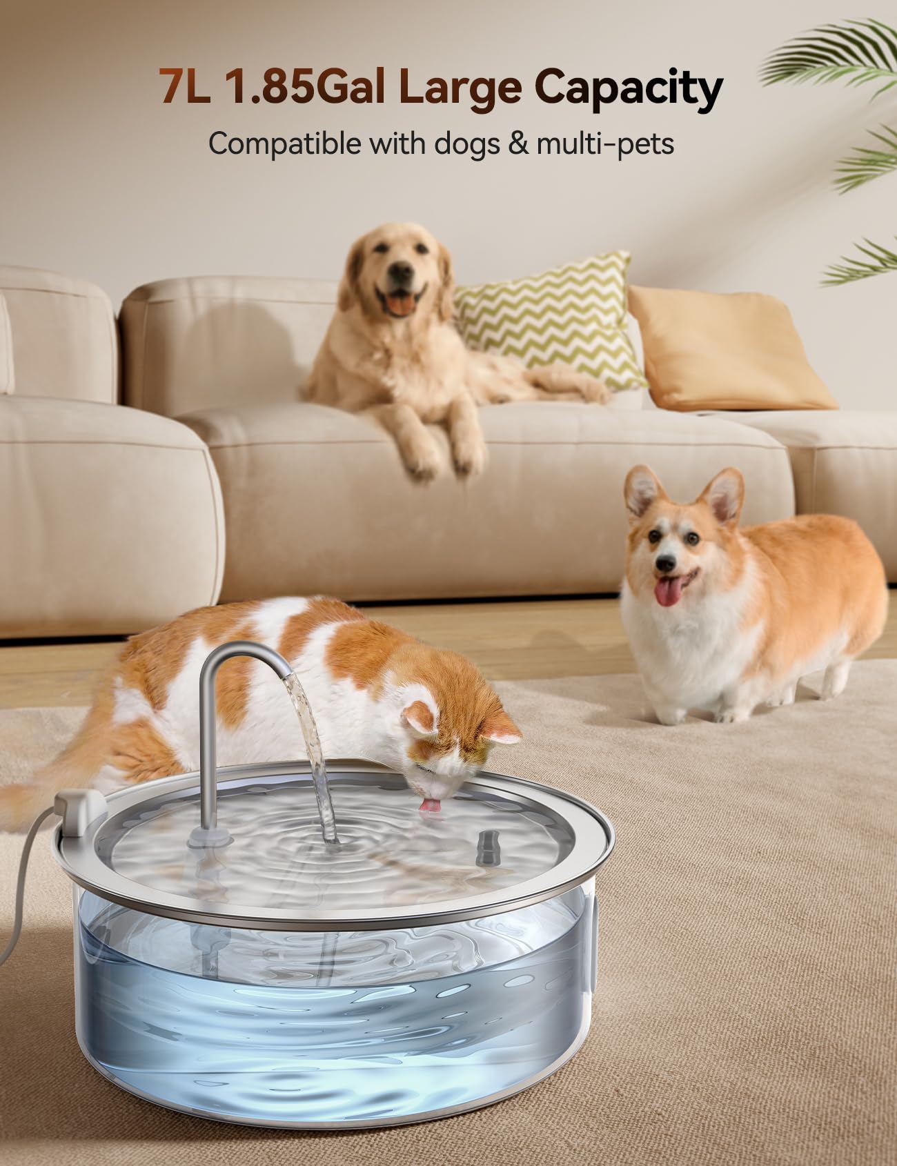 FEELNEEDY 7L Fontana per Gatti in Acciaio Inossidabile, Fontana Per Cani più 2 Filtri Super Silenzioso con Finestra del Livello Dell'Acqua