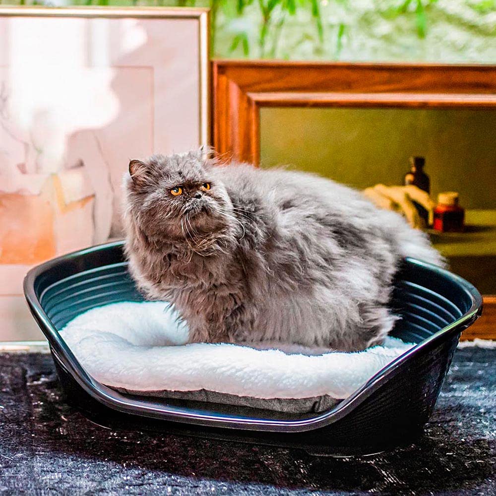 Ferplast Cuscino Cane e Gatto RELAX 55/4, Lettino per Cani Gatti Animali Domestici, Materassino, Cuscino Imbottito per Cuccia Cane e Gatto, Ovale, Pe luche e Cotone, Lavabile, 55 x 36 cm