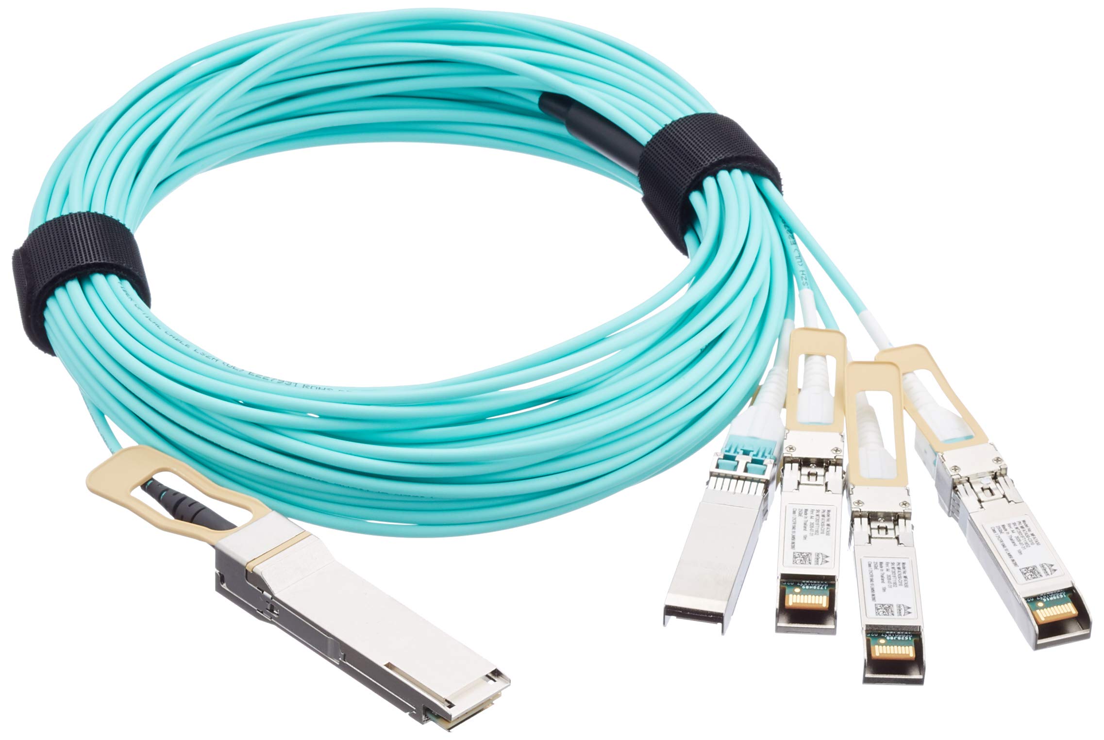 Mellanox Technologies MFA7A50-C010 10m QSFP28 4x SFP28 Turquoise Fiber Optic Cable (10m, QSFP28, 4x SFP28, Turquoise)