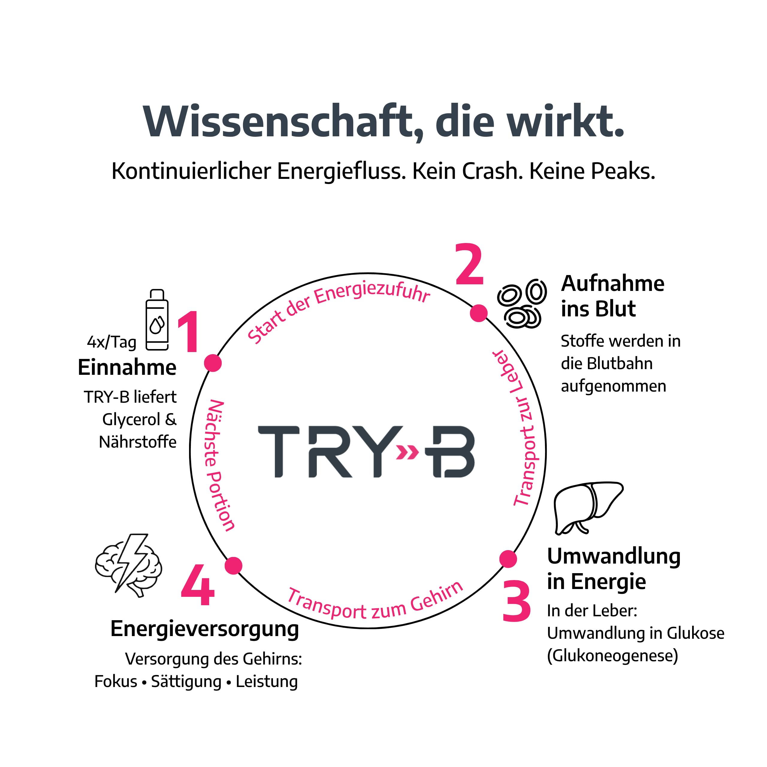 TRY-B Abnehmshake mit Glycerol, Vitaminen & Mineralstoffen – Diät Shake für 7 Tage – Abnehmen Shake 28 Tubes für einfache Diät Kur – Low Calorie Fastendrink ohne Hungergefühl – Grapefruit Splash