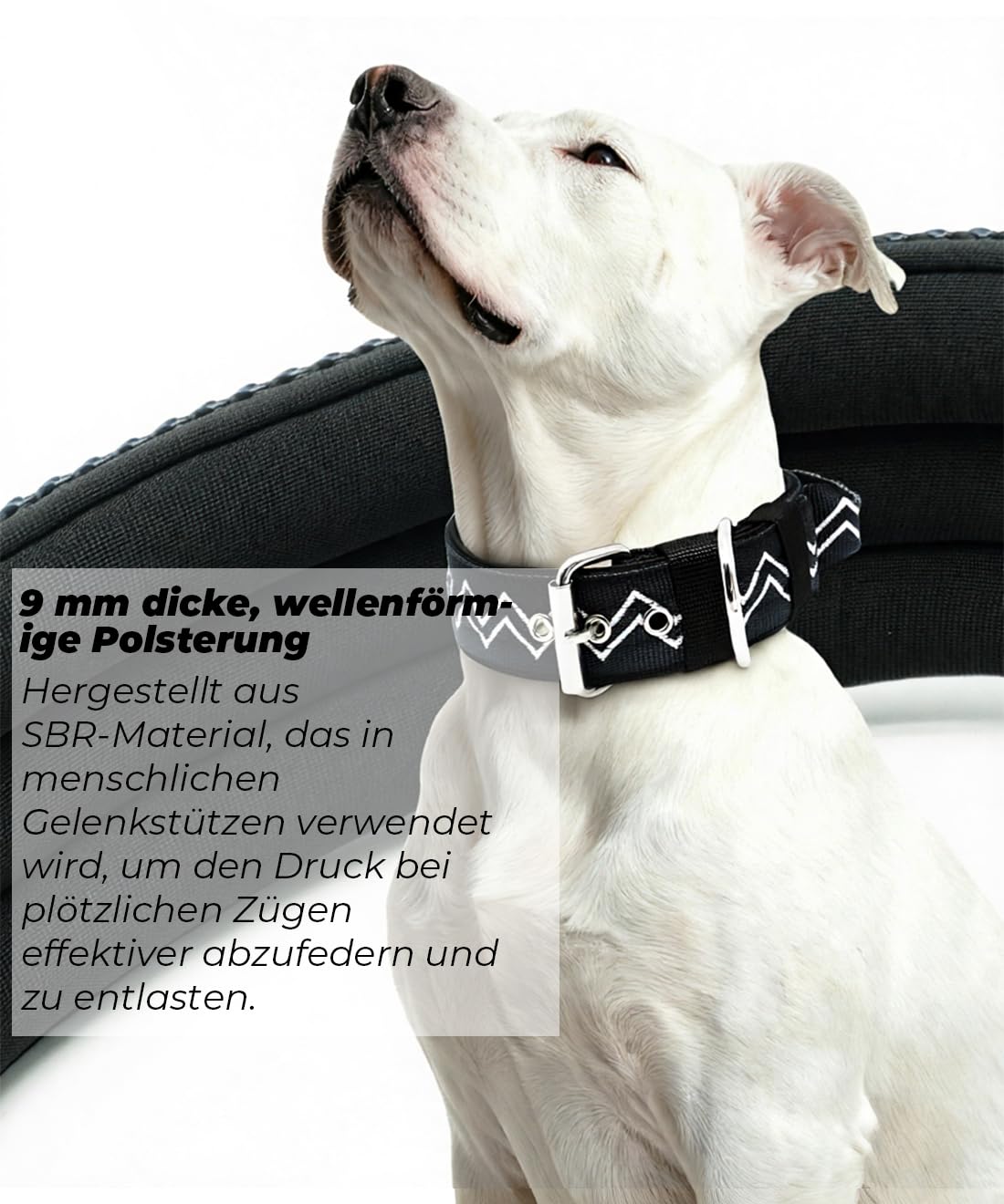NeckShield - Collare per cani di grandi dimensioni, largo 5 cm, con imbottitura extra spessa e maniglia, protezione professionale, 58-66 cm, nero carbonio
