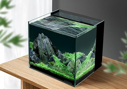 Miniatura 9 de LANDN 35C Tanque de acuario ultra transparente de 10 galones de hierro bajo en hierro con cámara de filtración trasera (bomba de retorno incluida).