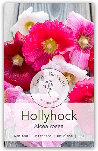 Gaea's Blessing Semillas de Hollyhock Seeds - Semillas sin OMG con instrucciones de siembra fáciles de seguir - Polinizado abierto, sin tratar,