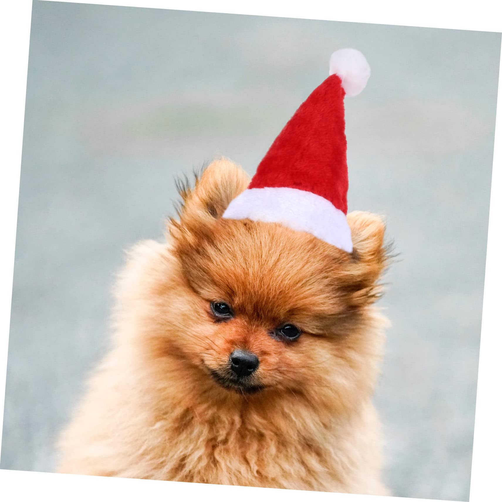 HMJGDHX 2 Pezzi di Renne per Animali Domestici Maglione e Cappello Natalizi per Cani Caldi per Cuccioli per Abiti Natalizi per Animali Domestici e Occasioni Invernali
