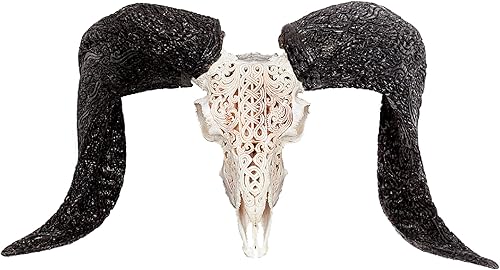 Vista 26 de Skull Bliss - Calavera de carnero de taxidermia auténtica tallada a mano con cuernos/decoración del hogar de cráneo de carnero genuino/decoraciones