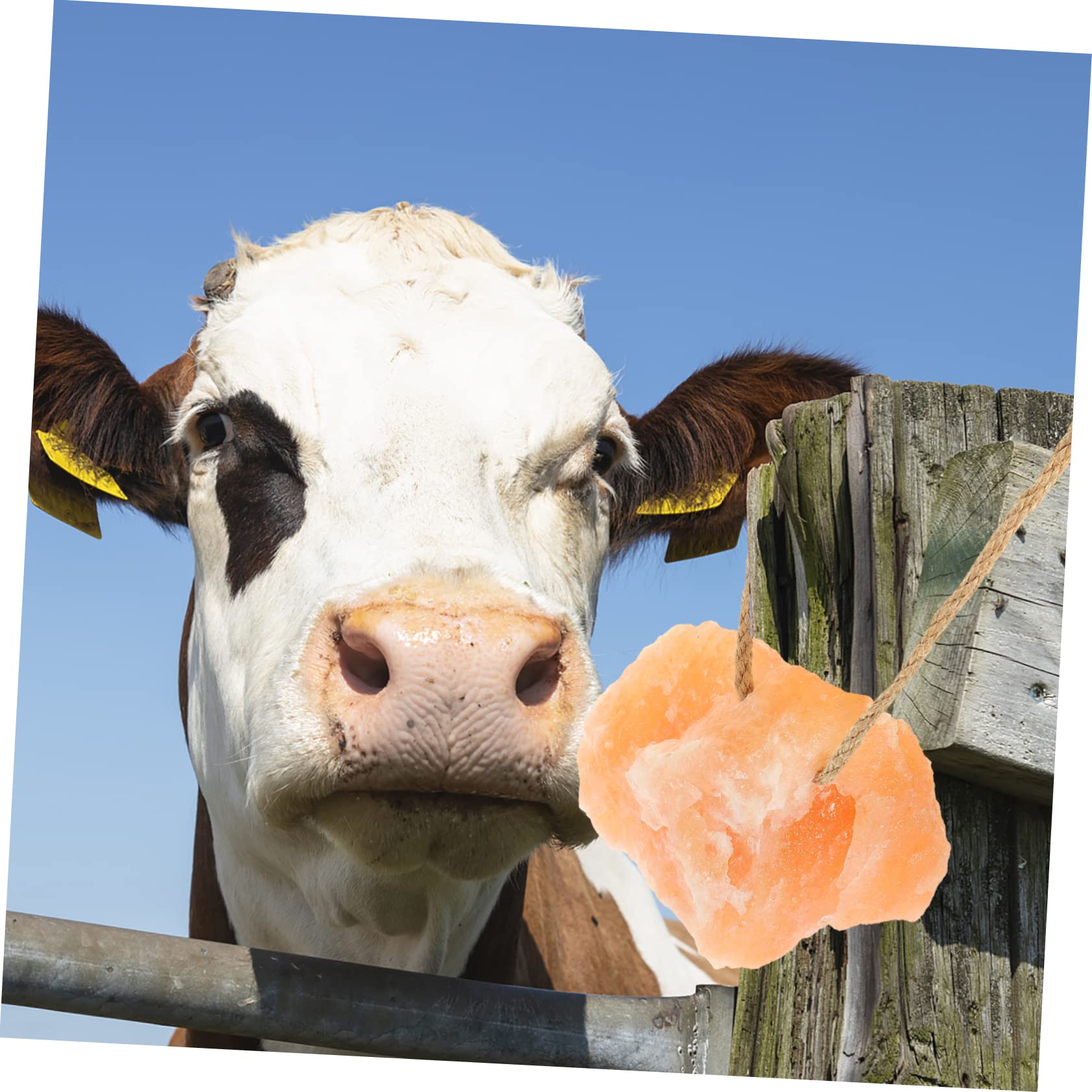 Blocco di Sale da Leccare per Bestiame Naturale 1 Pezzo | Lavorazione Fine, Facile da Sospendere, Solido, per Allevamento di Erbivori in Azienda Agricola