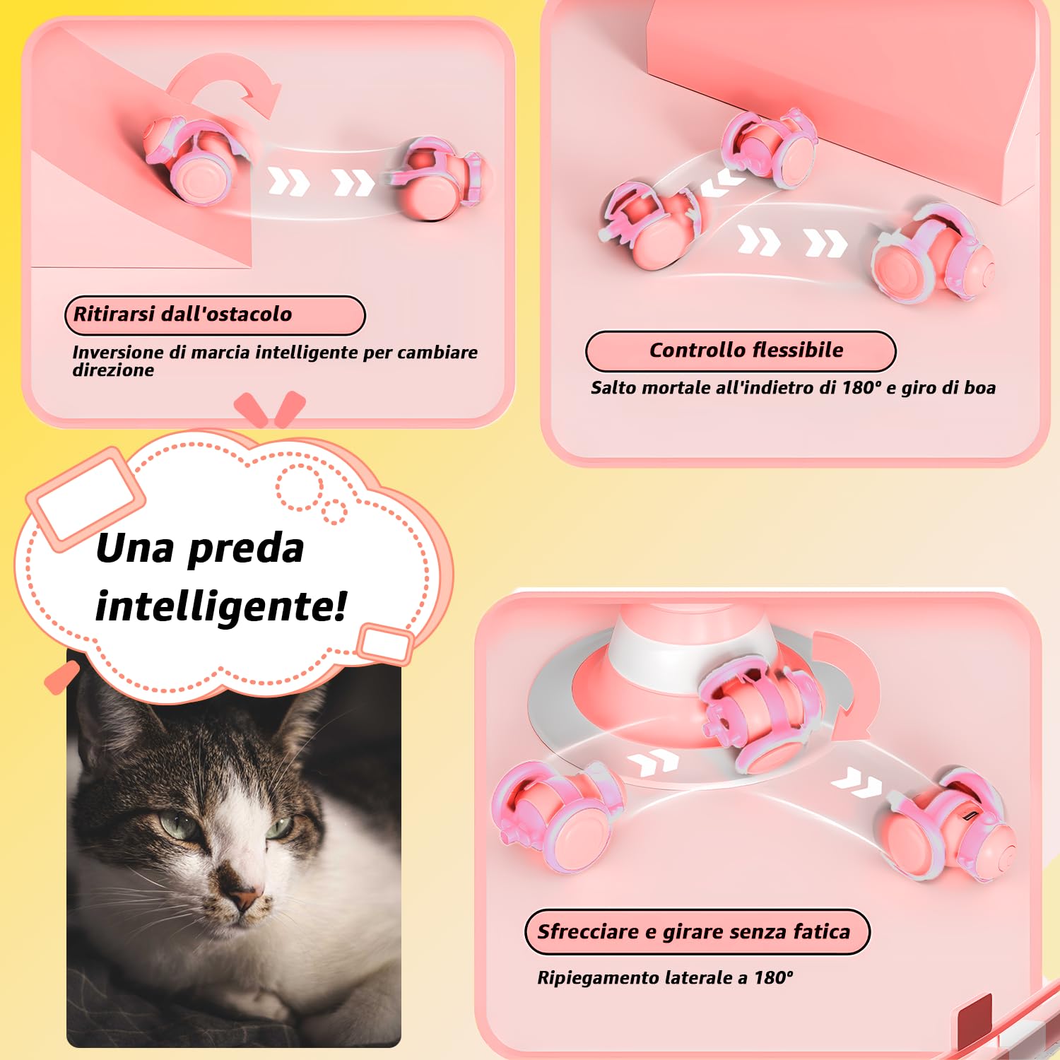 Peticularz Giocattolo interattivo per interni per gatti, giocattolo a sfera automatico, gioco di intelligenza per gattini, intrattenimento e stimolazione del movimento ideale, giocattolo per animali