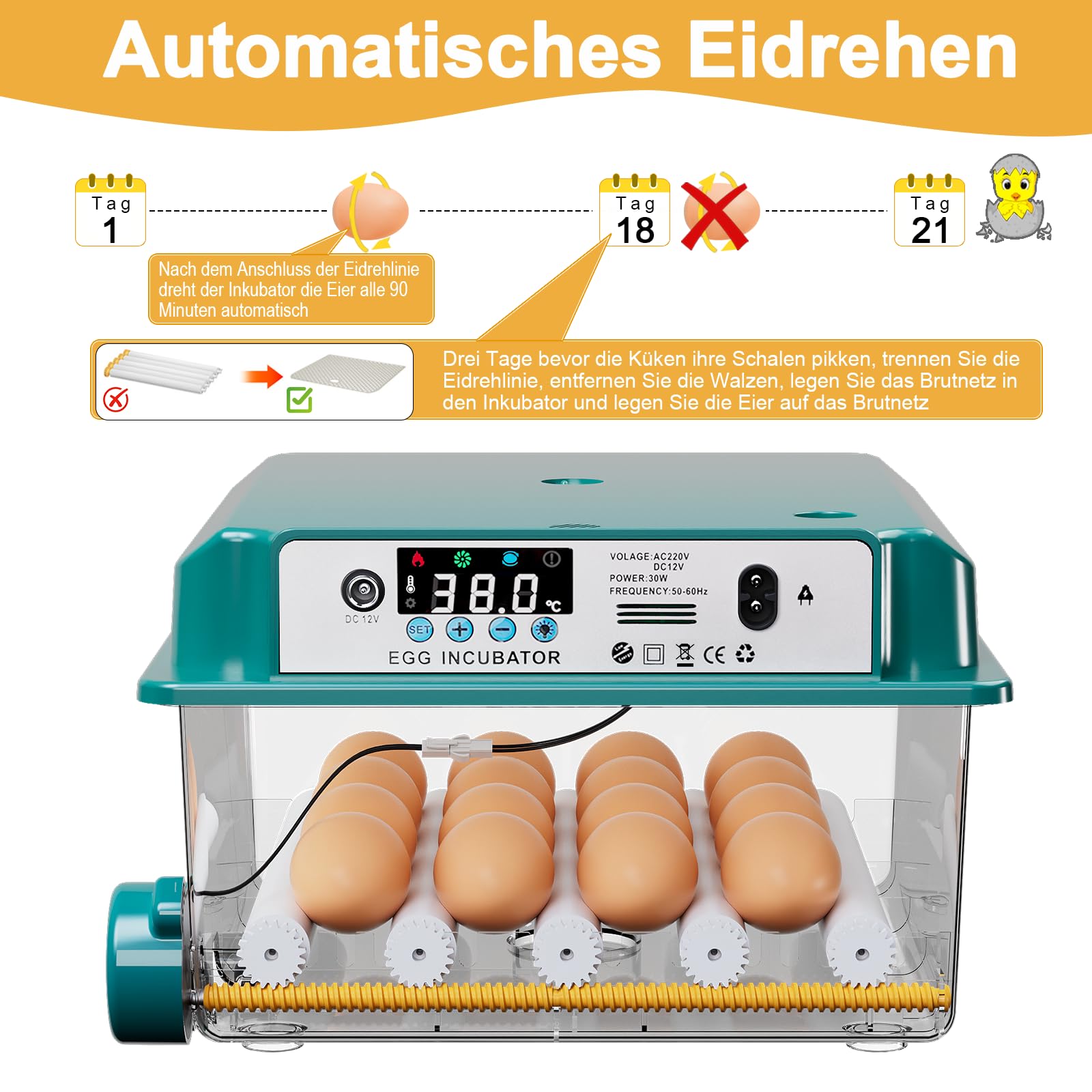 CoInceptus Brutautomat Vollautomatisch, Inkubator Hühner 12-16 Eier mit Automatischem Eierwenden und Automatischer Wasserzugabe, Brutkasten Hühner für Hühnereier, Wachtel und Enteneier