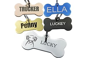 Personalized Engraved Stainless Steel Smart Pet Tag for Large Dogs
