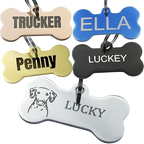 Personalized Engraved Stainless Steel Smart Pet Tag for Large Dogs