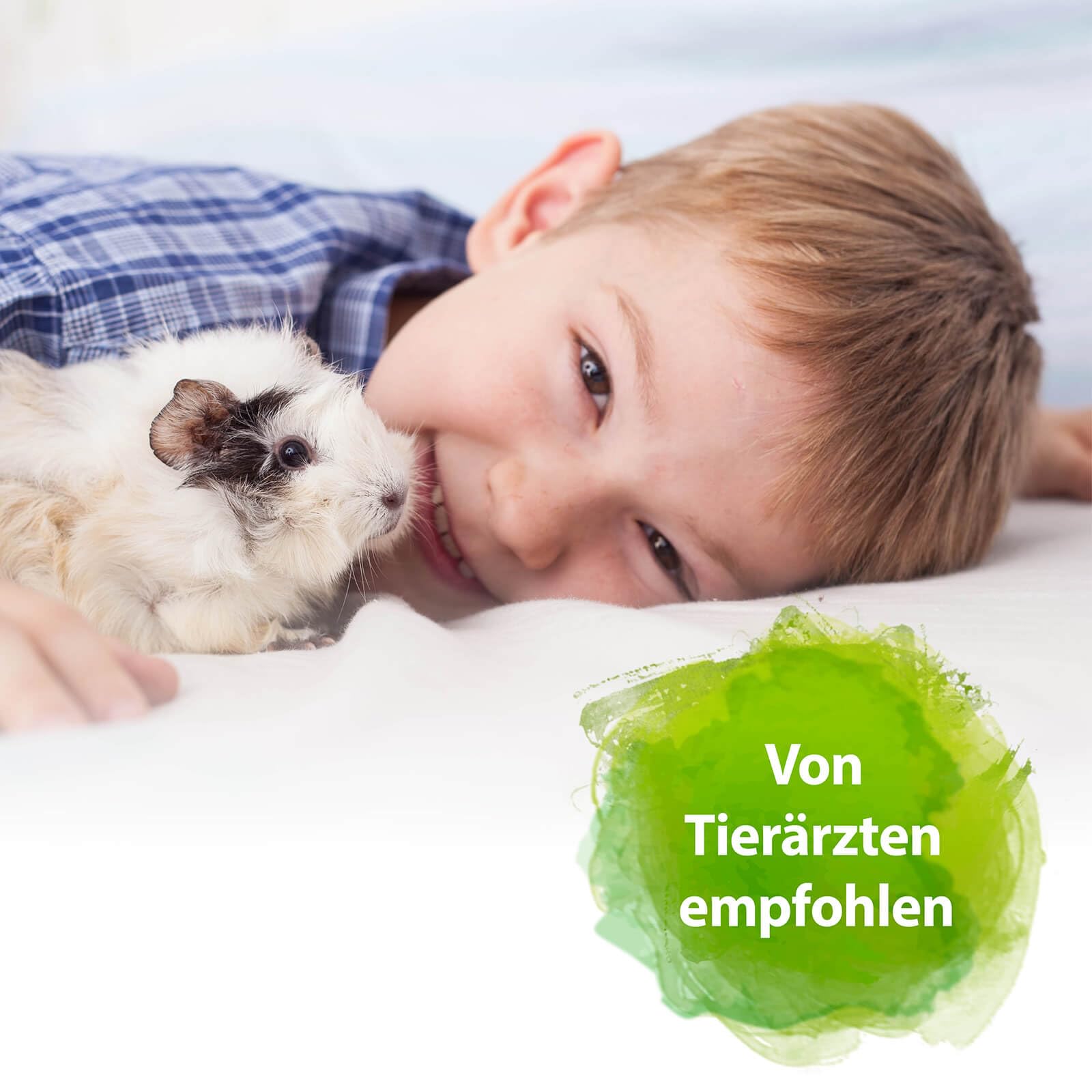 Bactador Enzymreiniger Nagerkäfig Spray 6 x 500ml - Geruchsentferner & Reiniger - Gegen Kot, Urin & Tiergerüche - Mikrobiologischer Geruchsneutralisierer - Porentiefe Reinigung in der Nagerumgebung
