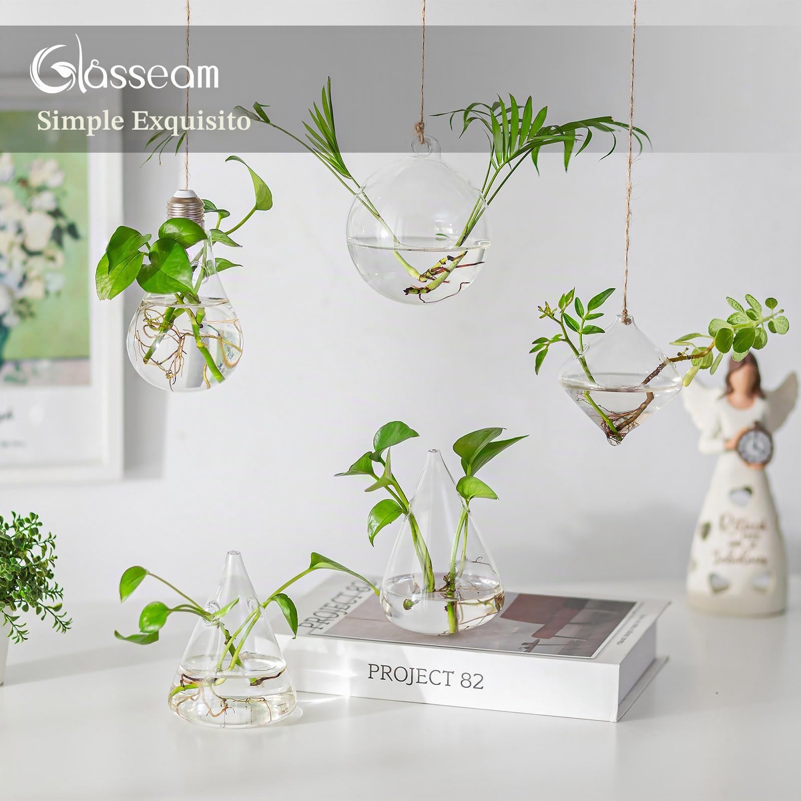 Vidrio Jardineras colgantes Agua Planta de aire suculentos Terrario 5Pcs Set con cuerdas para el jardín del hogar Balcón