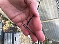 Review Image by Boundbywildthings