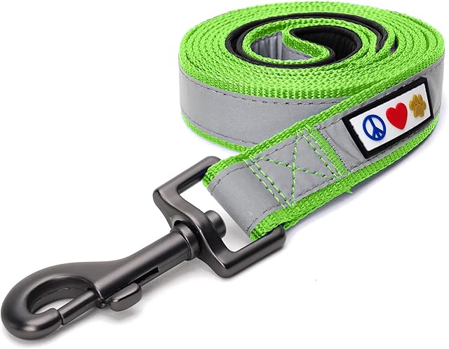 PAWTITAS 1.8 M Reflective Dog Lead Comfortable Padded Handle | Puppy Dog Training Double Handle Reflective Lead | Reflective Short Dog Lead for Training | Hands Free Running Dog Lead - M/L Green Lead
